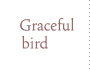 Graceful bird